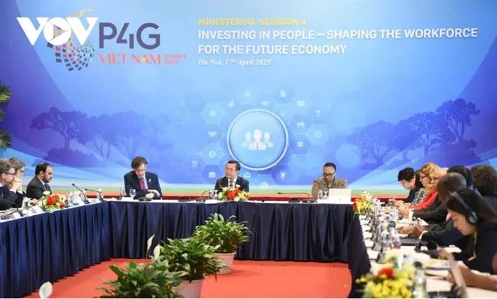 Thumbnail Triển khai nhiều chính sách giáo dục cho nền kinh tế xanh và số